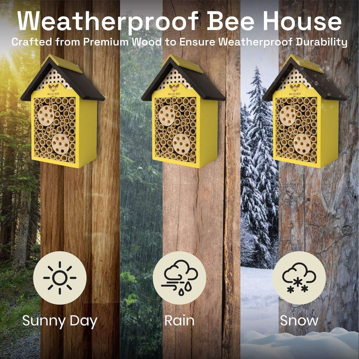 Bee House – Big Bee Box