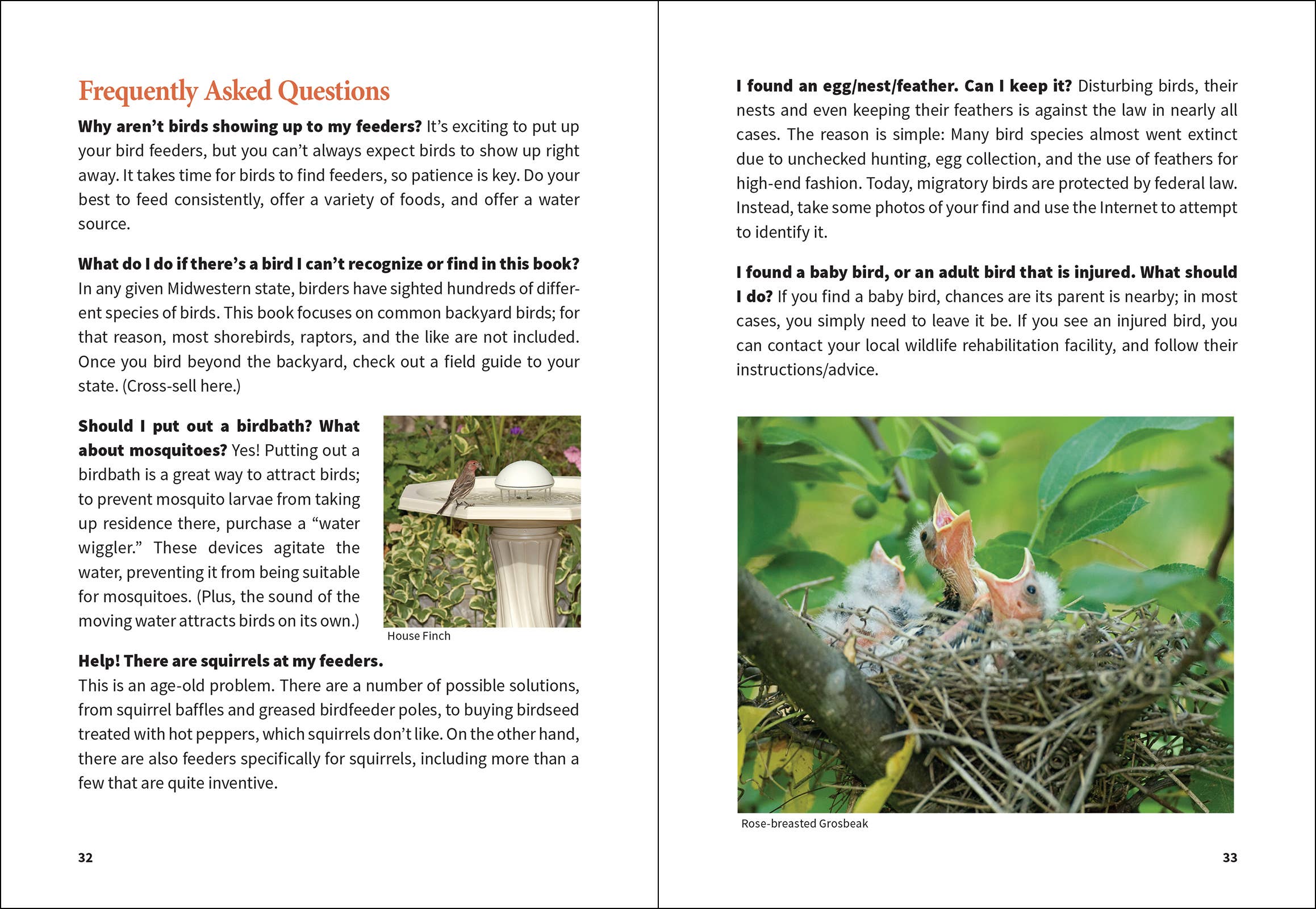 Stan Tekiela Birding Beginners: South