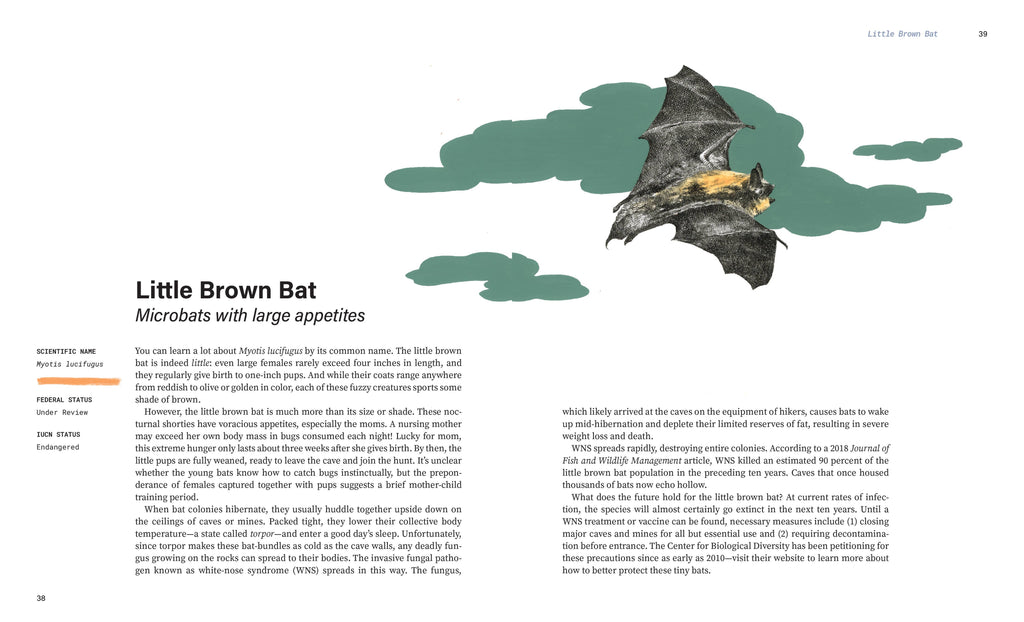 Rare Air: Endangered Birds, Bats, Butterflies & Bees