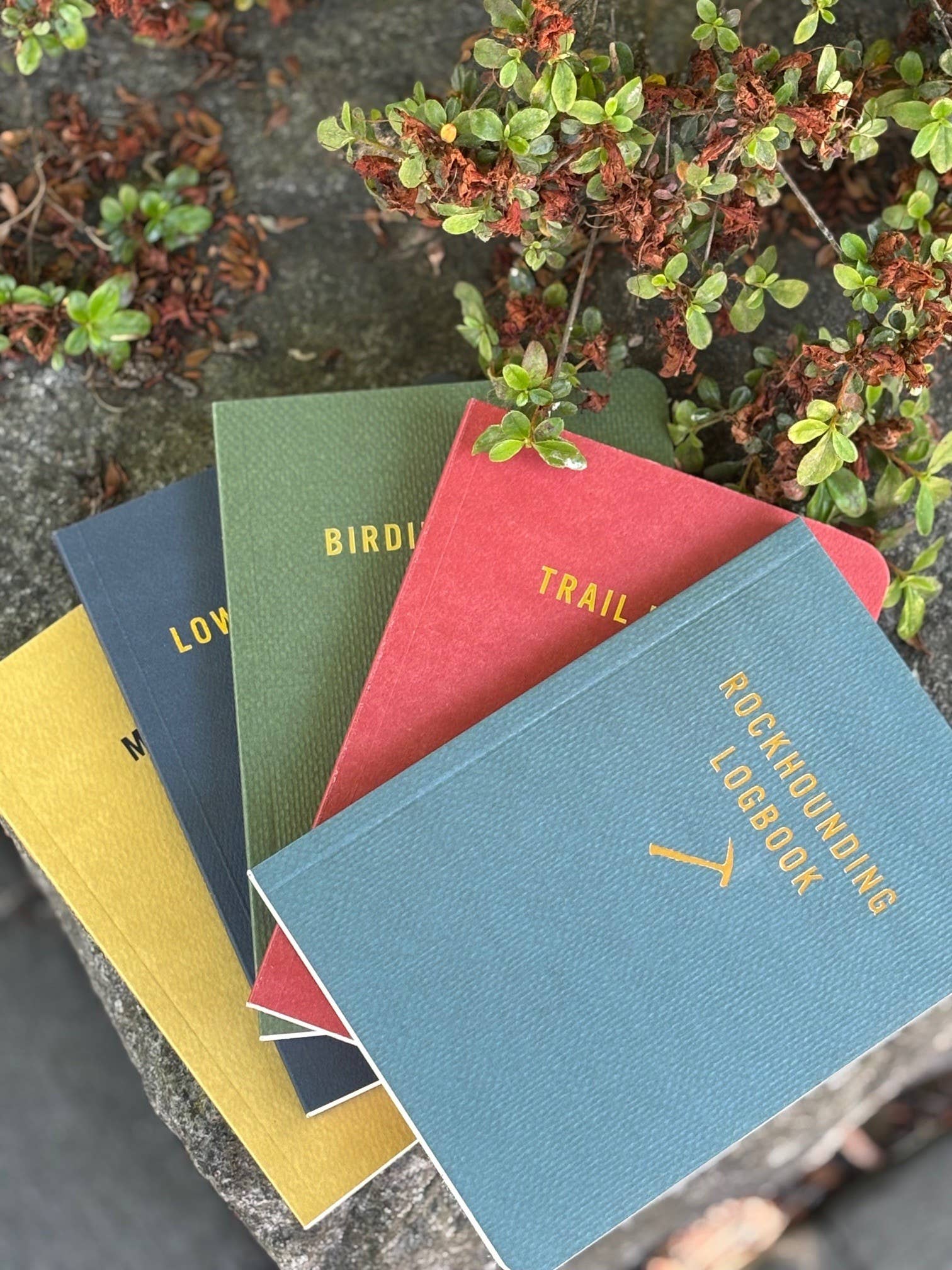 Rockhounding Logbook