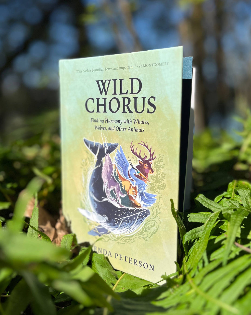 Wild Chorus