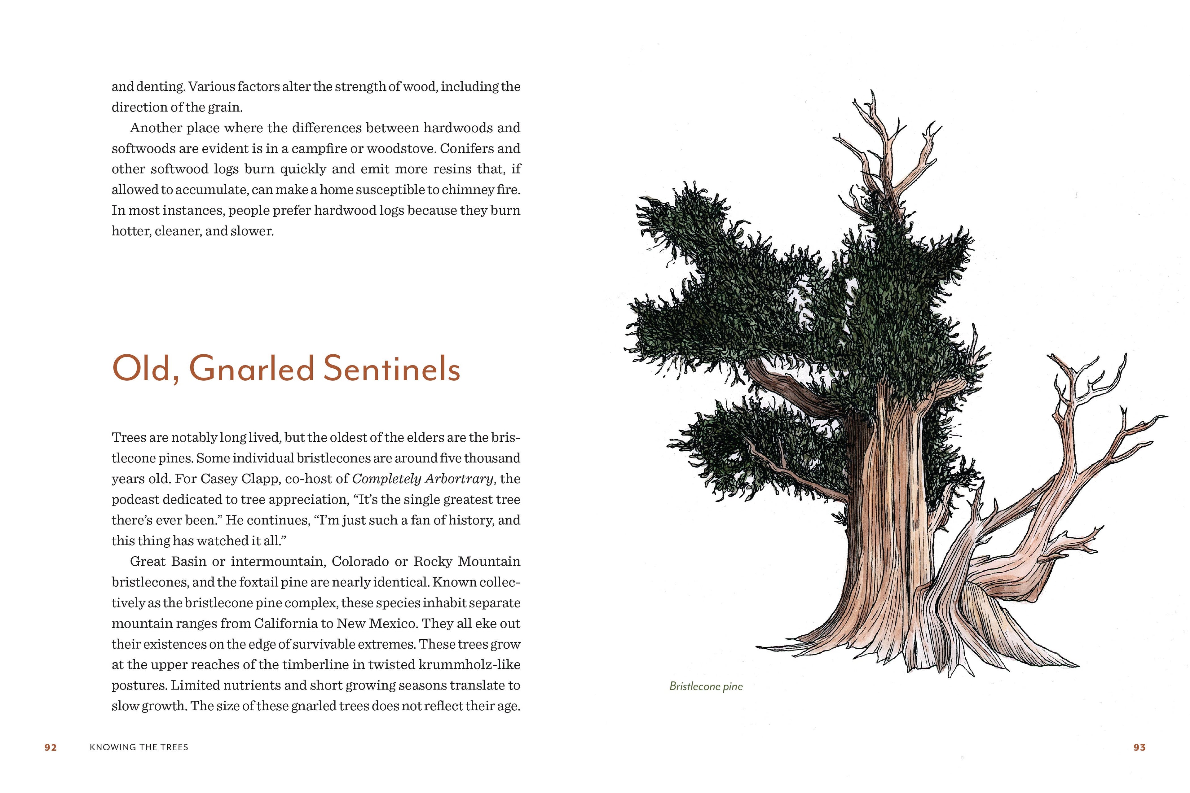 Knowing the Trees