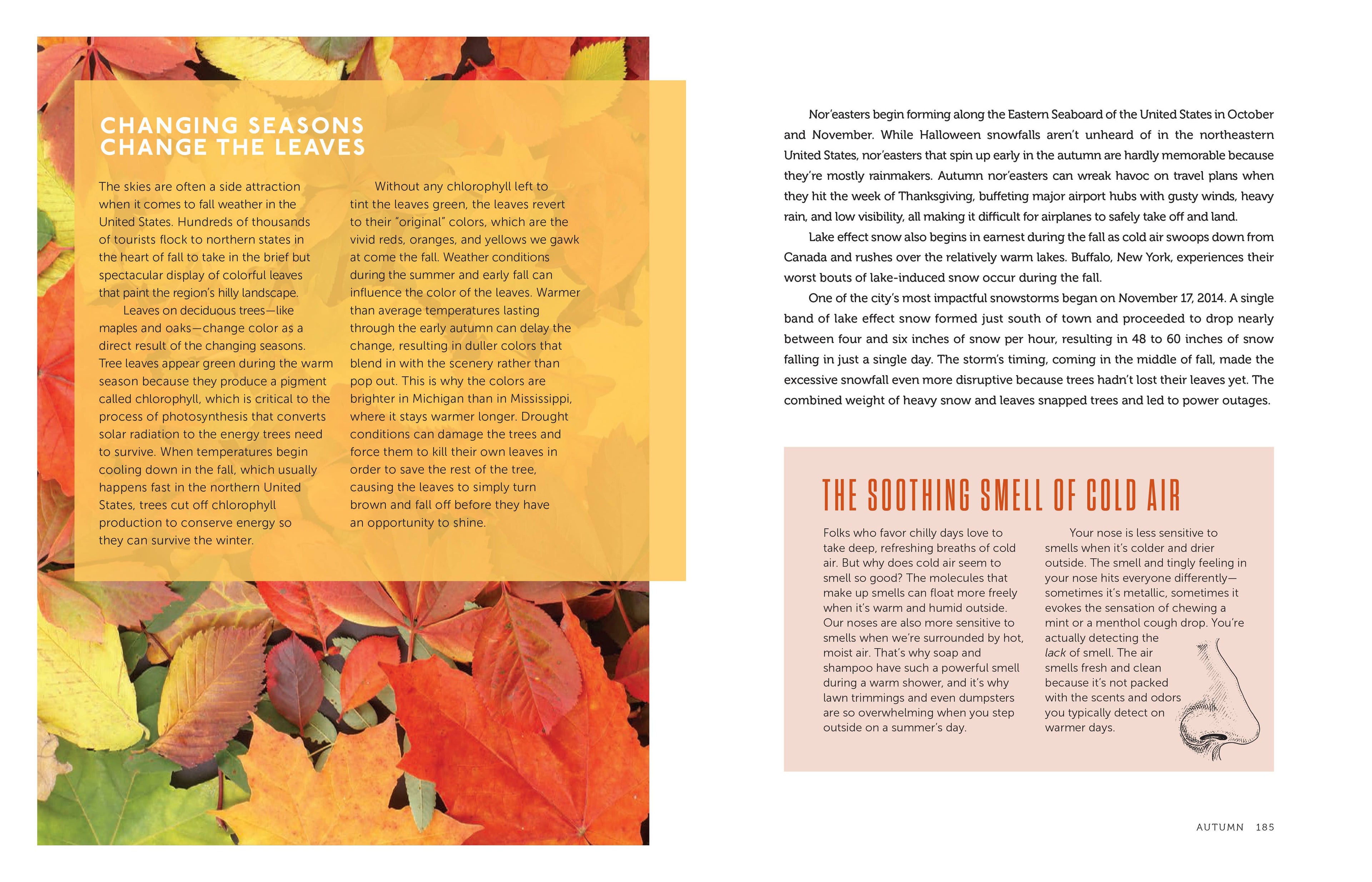 The Skies Above