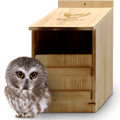 Owl Box for Yards