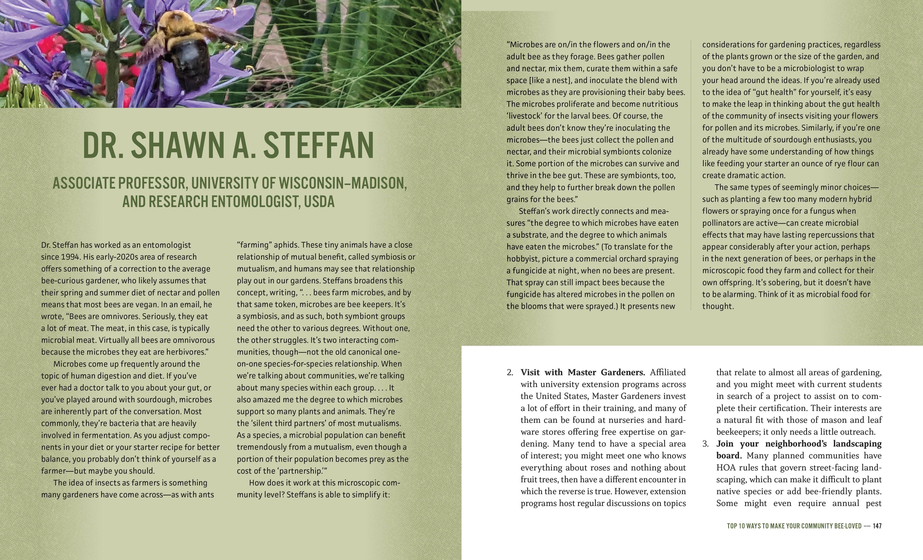 Mason Bee Revolution, 2nd Edition