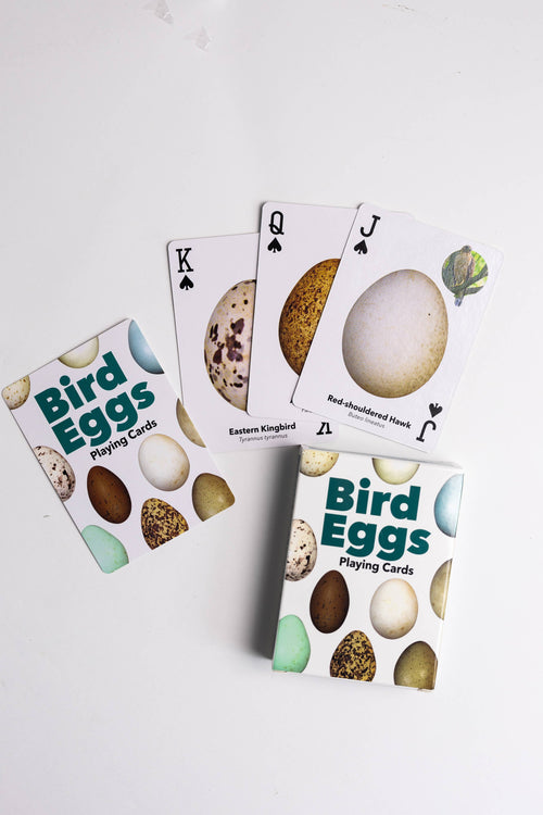 Bird Eggs Playing Cards