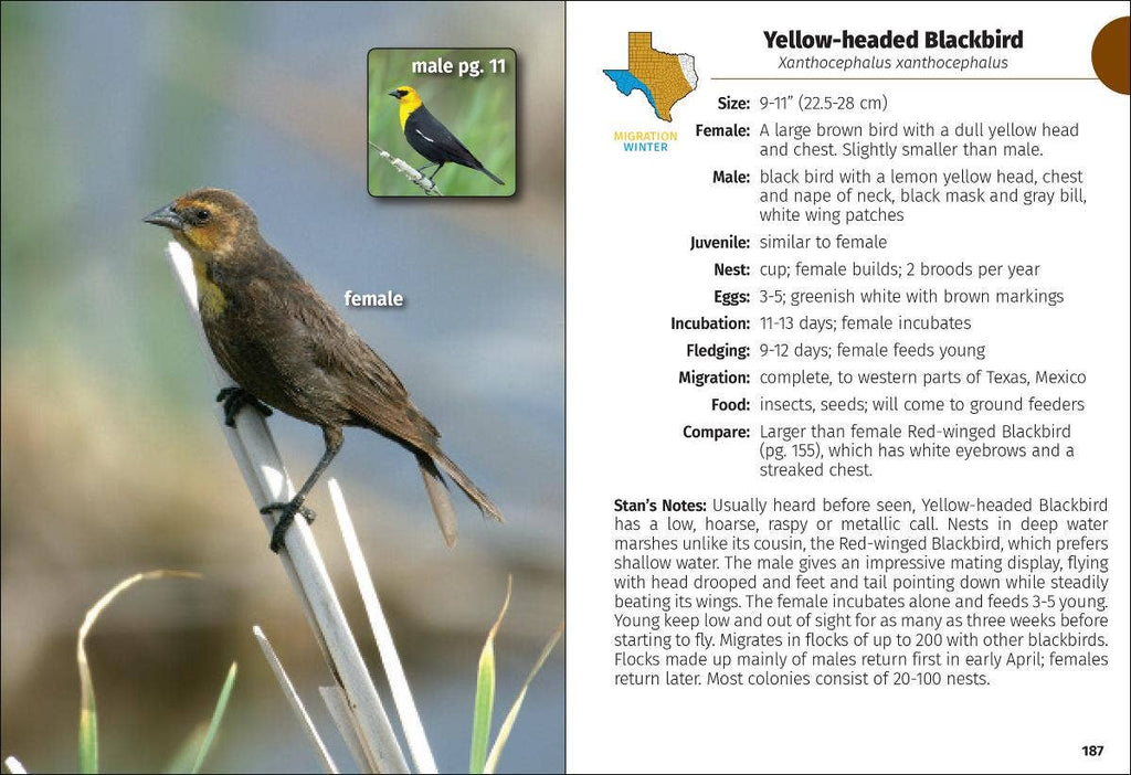 Birds of Texas Field Guide 2e