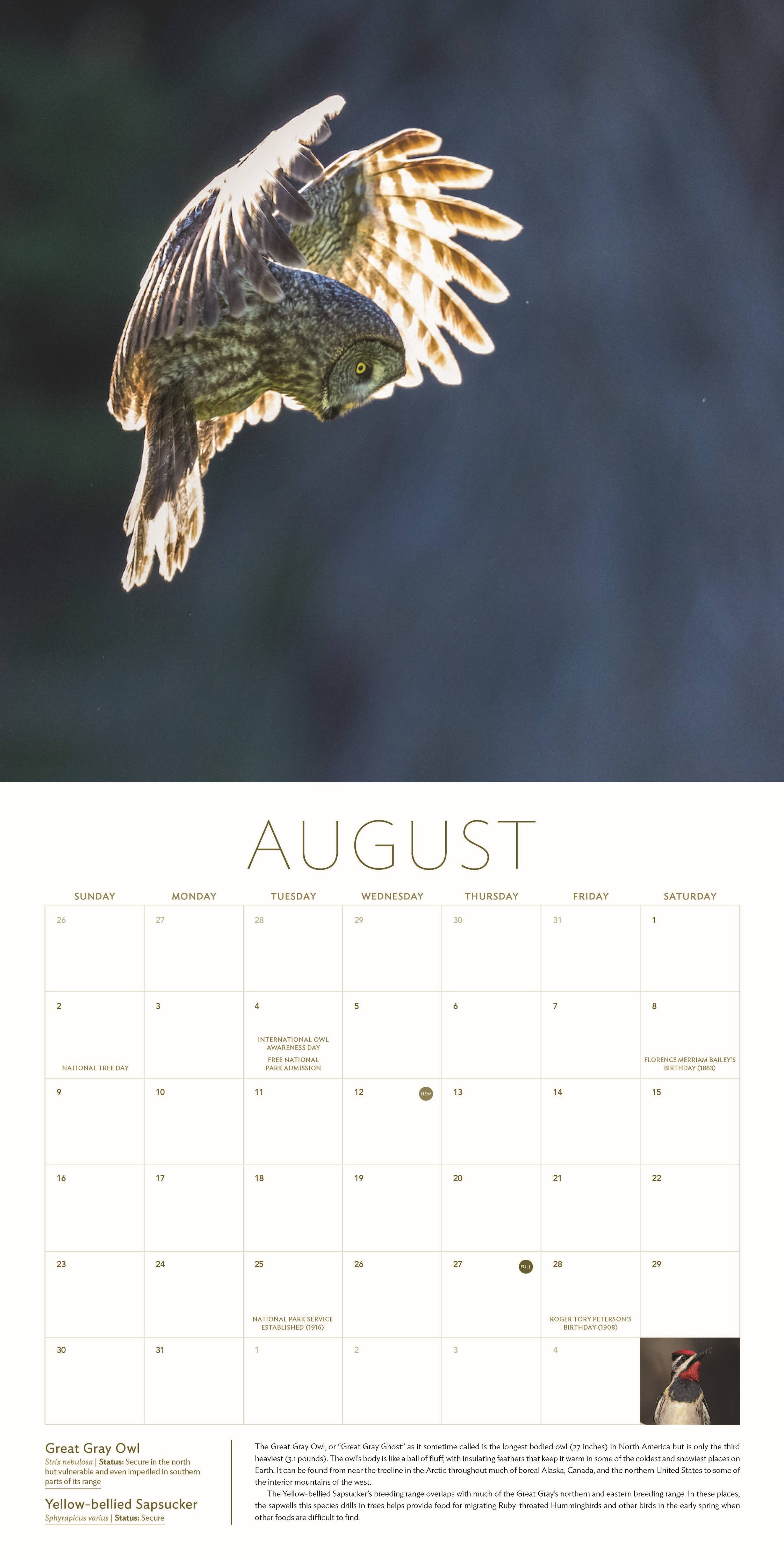 The Owl & the Woodpecker 2026: 12-Month Wall Calendar
