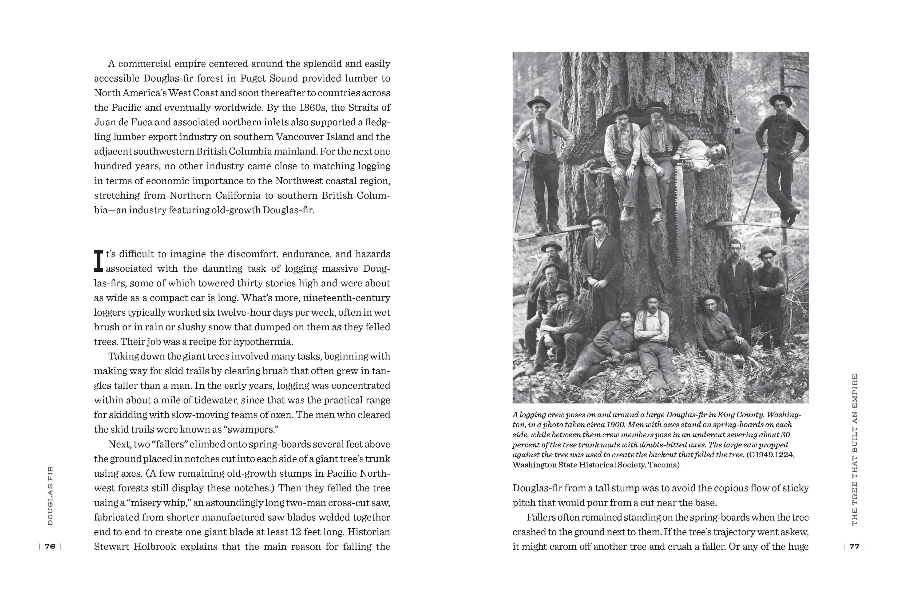 Douglas Fir: The Story of the West’s Most Remarkable Tree