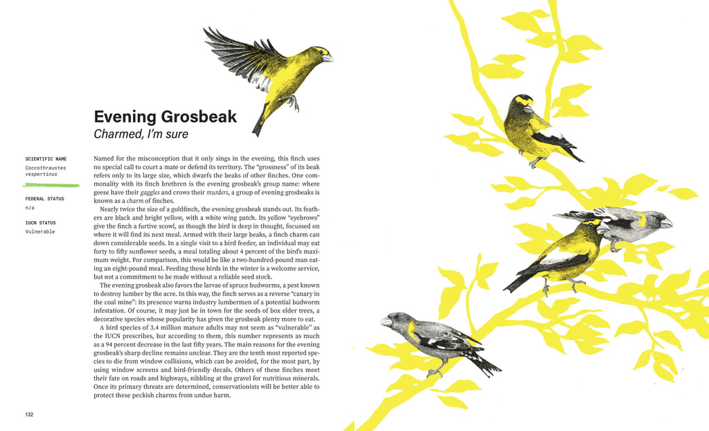 Rare Air: Endangered Birds, Bats, Butterflies & Bees
