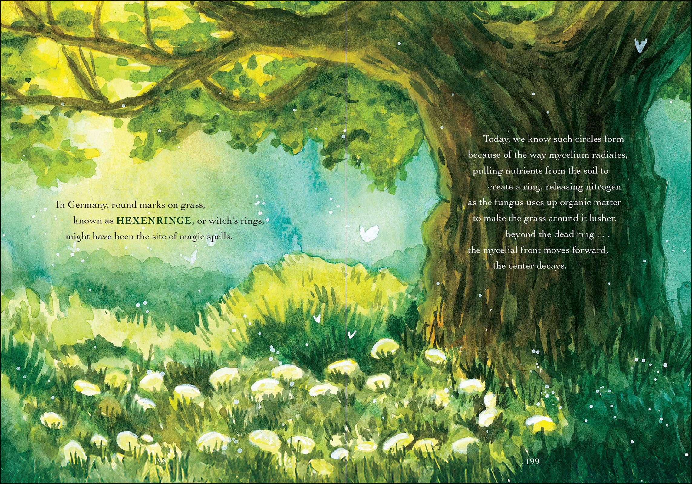Wonder of Mushrooms