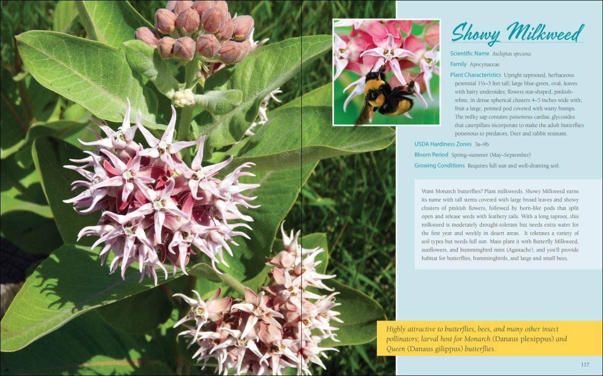 Native Plant Gardening: Southwest