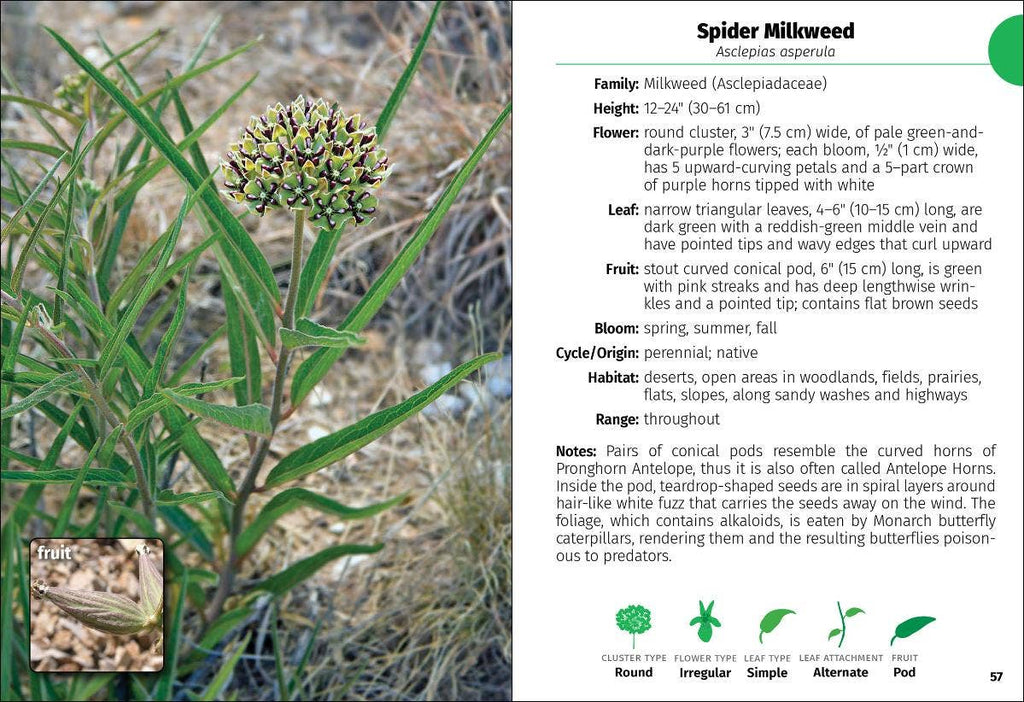 Wildflowers of Texas Field Guide 2e