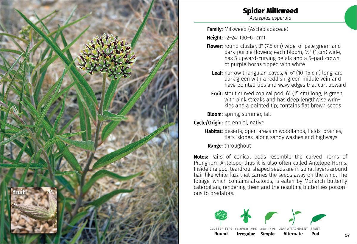 Wildflowers of Texas Field Guide 2e