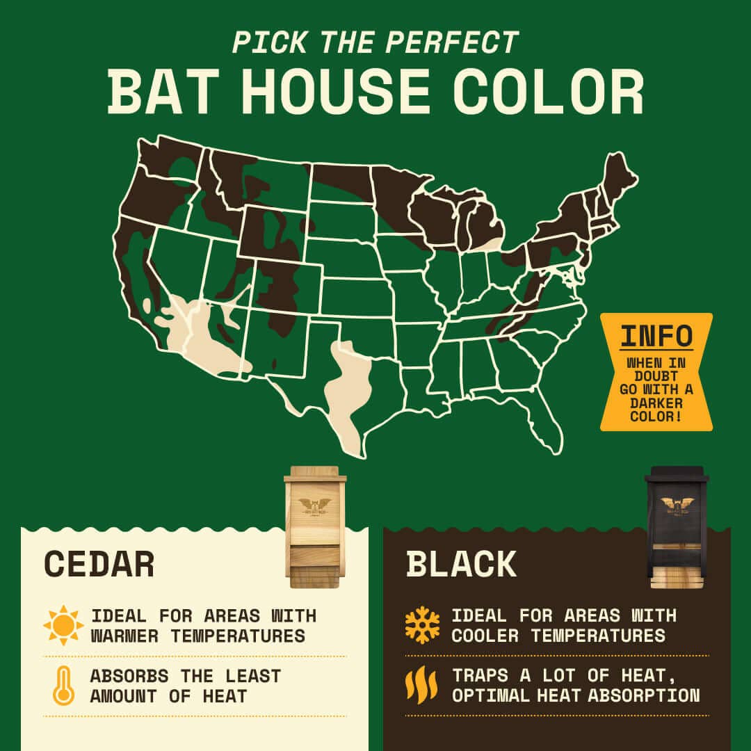 Big Bat Box - Single Chamber Bat House (Cedar)