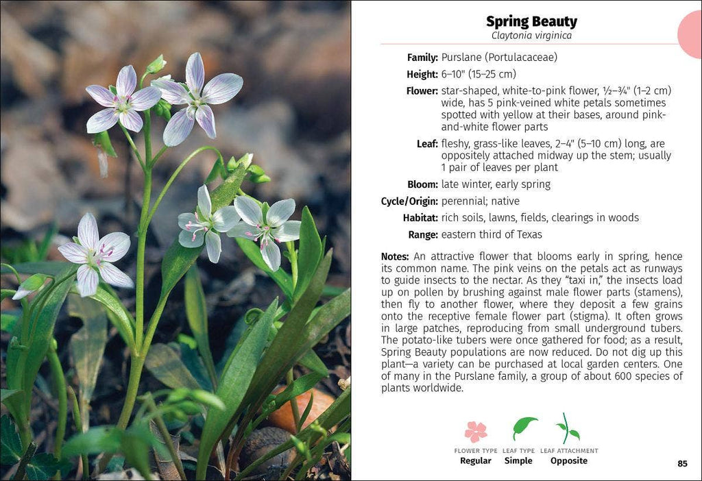 Wildflowers of Texas Field Guide 2e