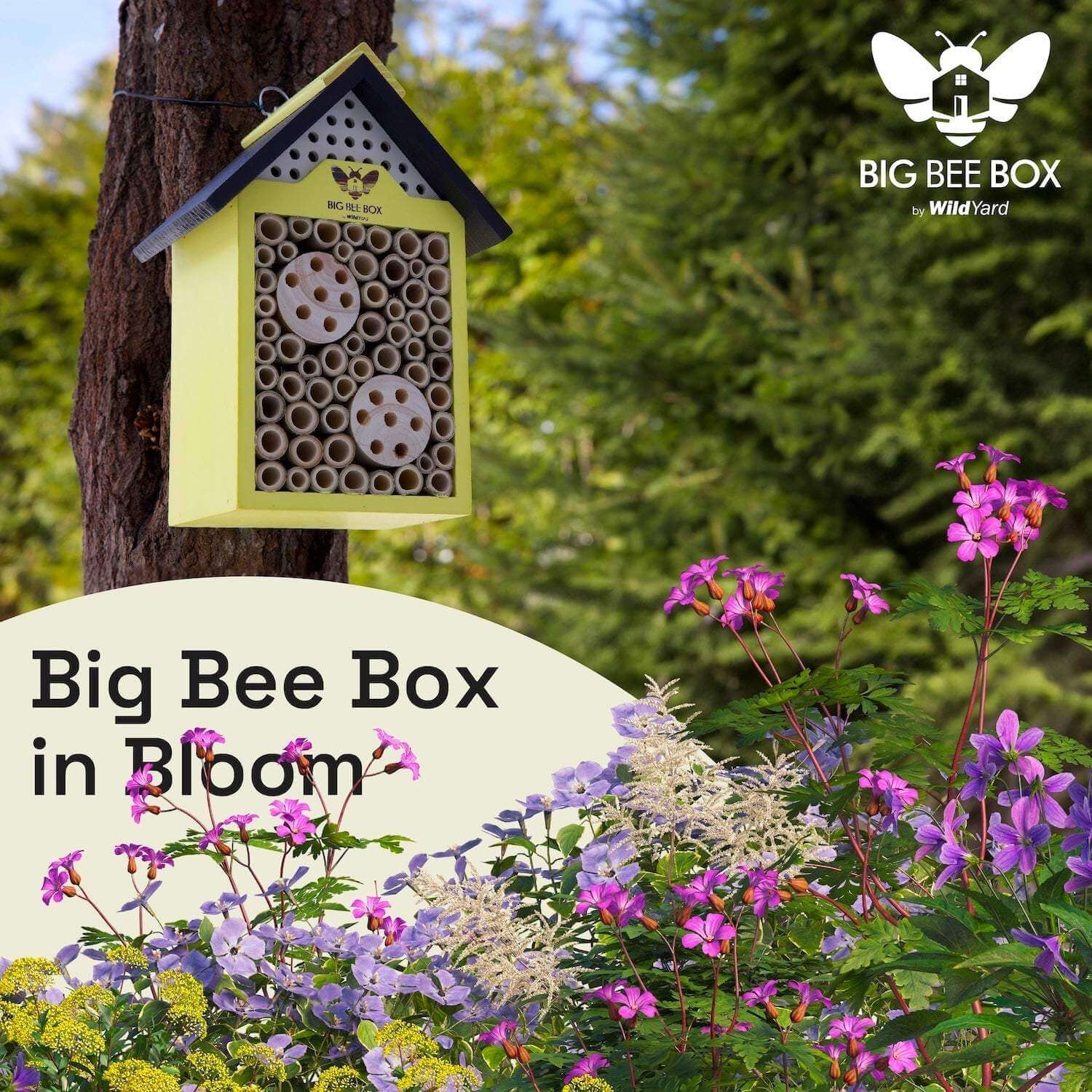 Bee House – Big Bee Box