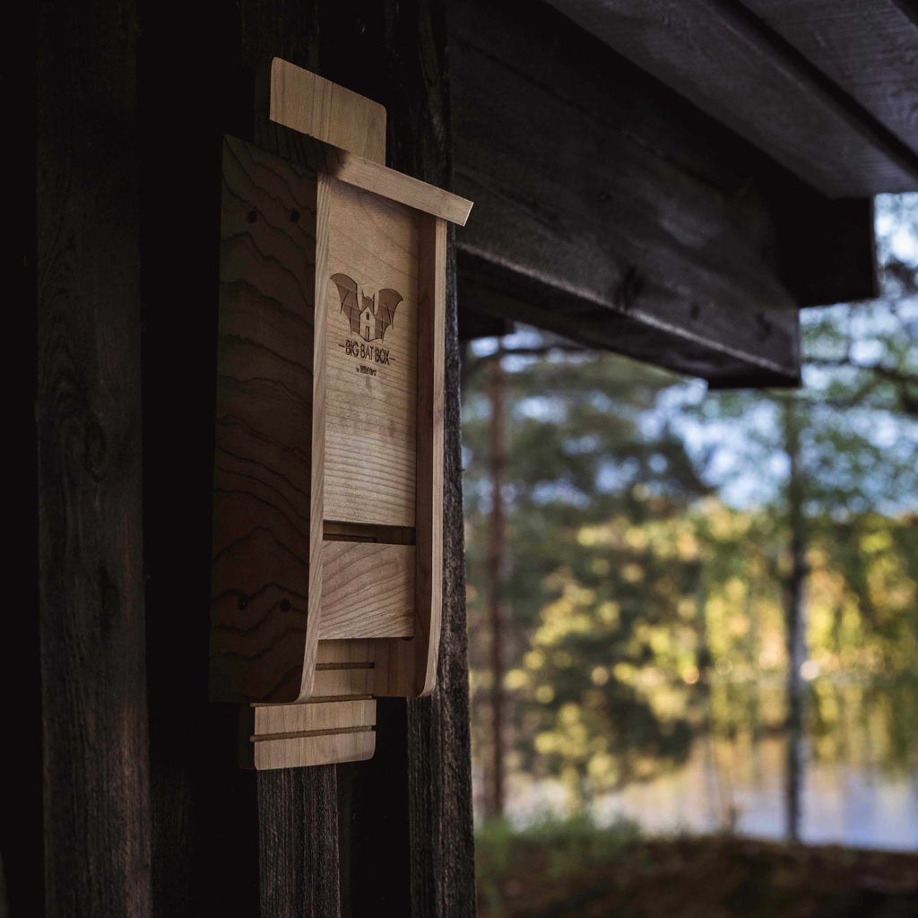 Big Bat Box - Single Chamber Bat House (Cedar)