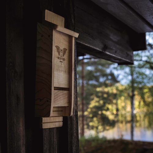 Big Bat Box - Single Chamber Bat House (Cedar)