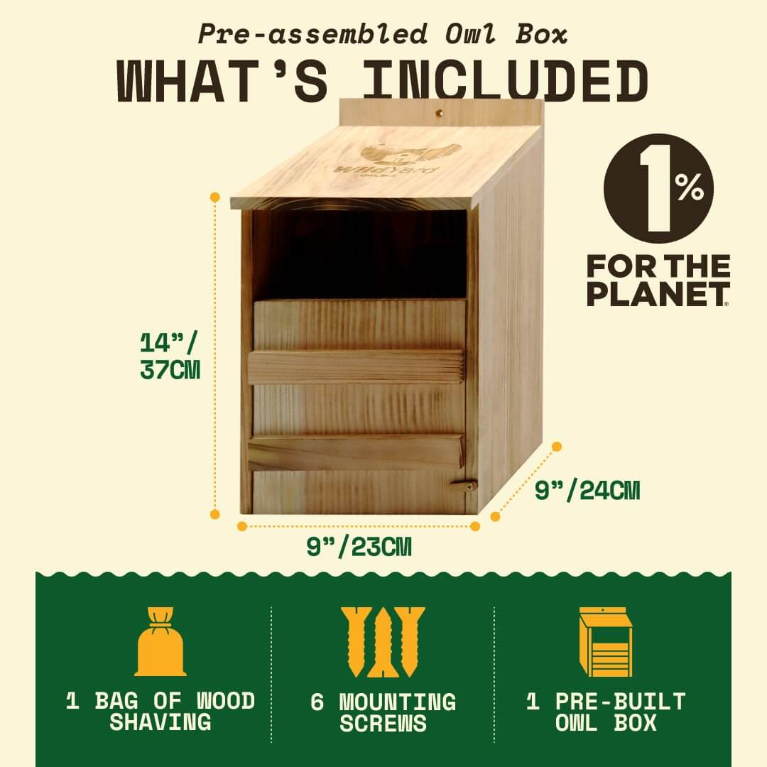 Owl Box for Yards