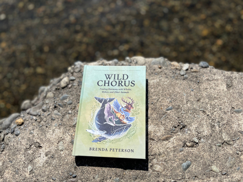 Wild Chorus