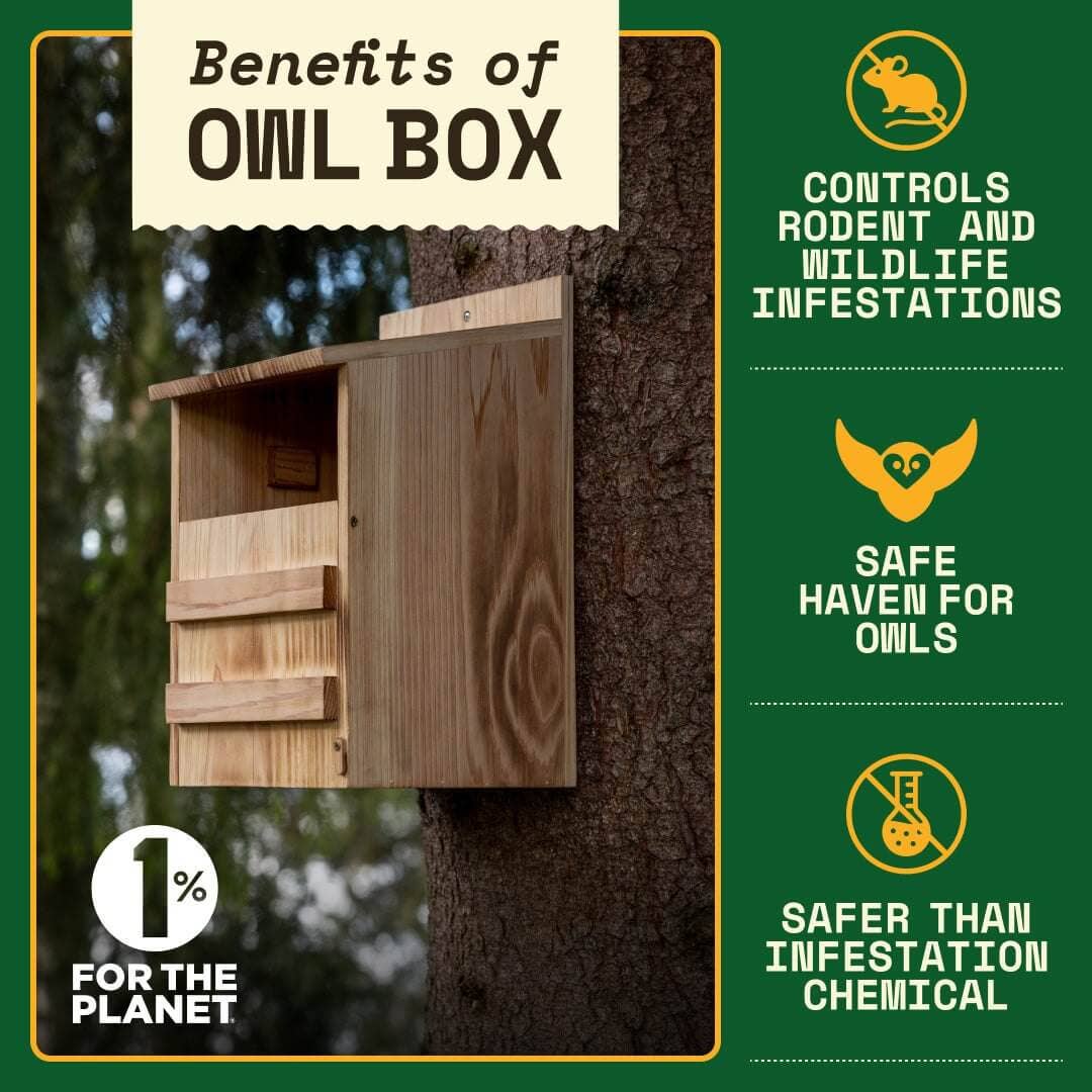 Owl Box for Yards