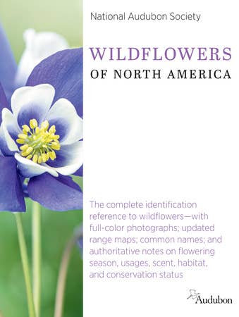 National Audubon Wildflowers of North America