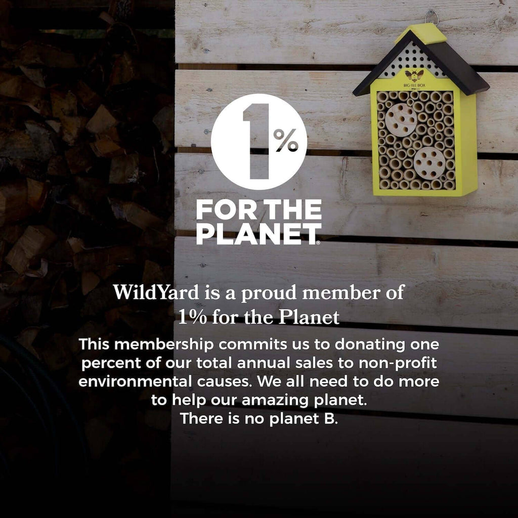 Bee House – Big Bee Box