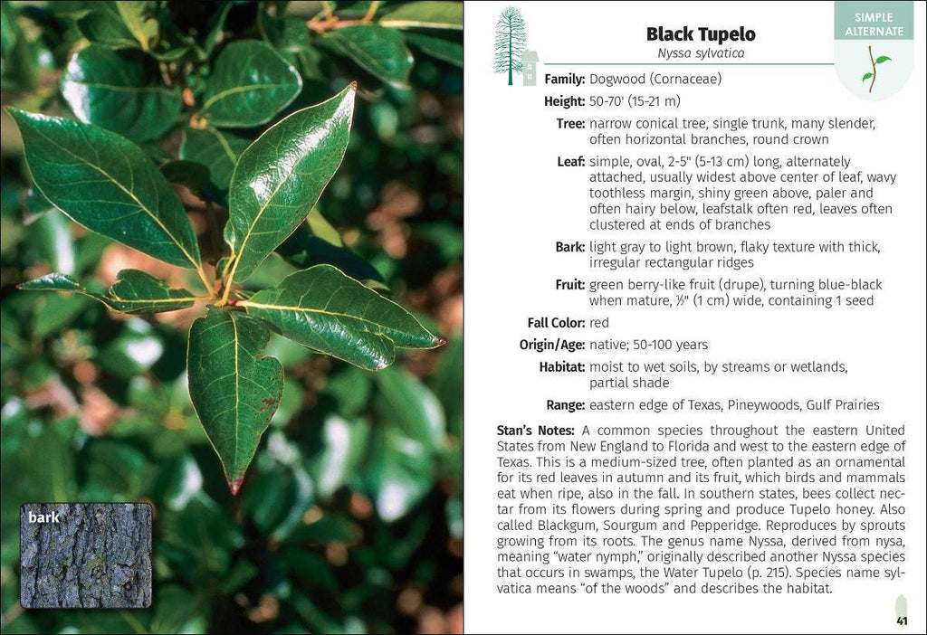 Trees of Texas Field Guide 2e