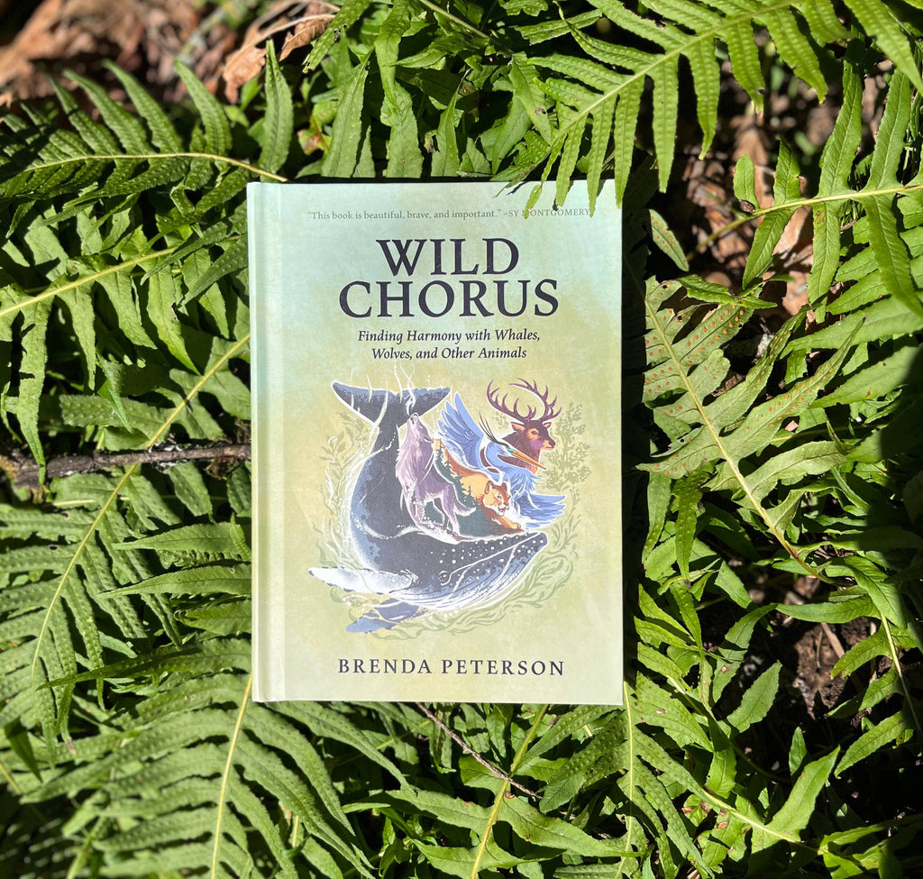 Wild Chorus