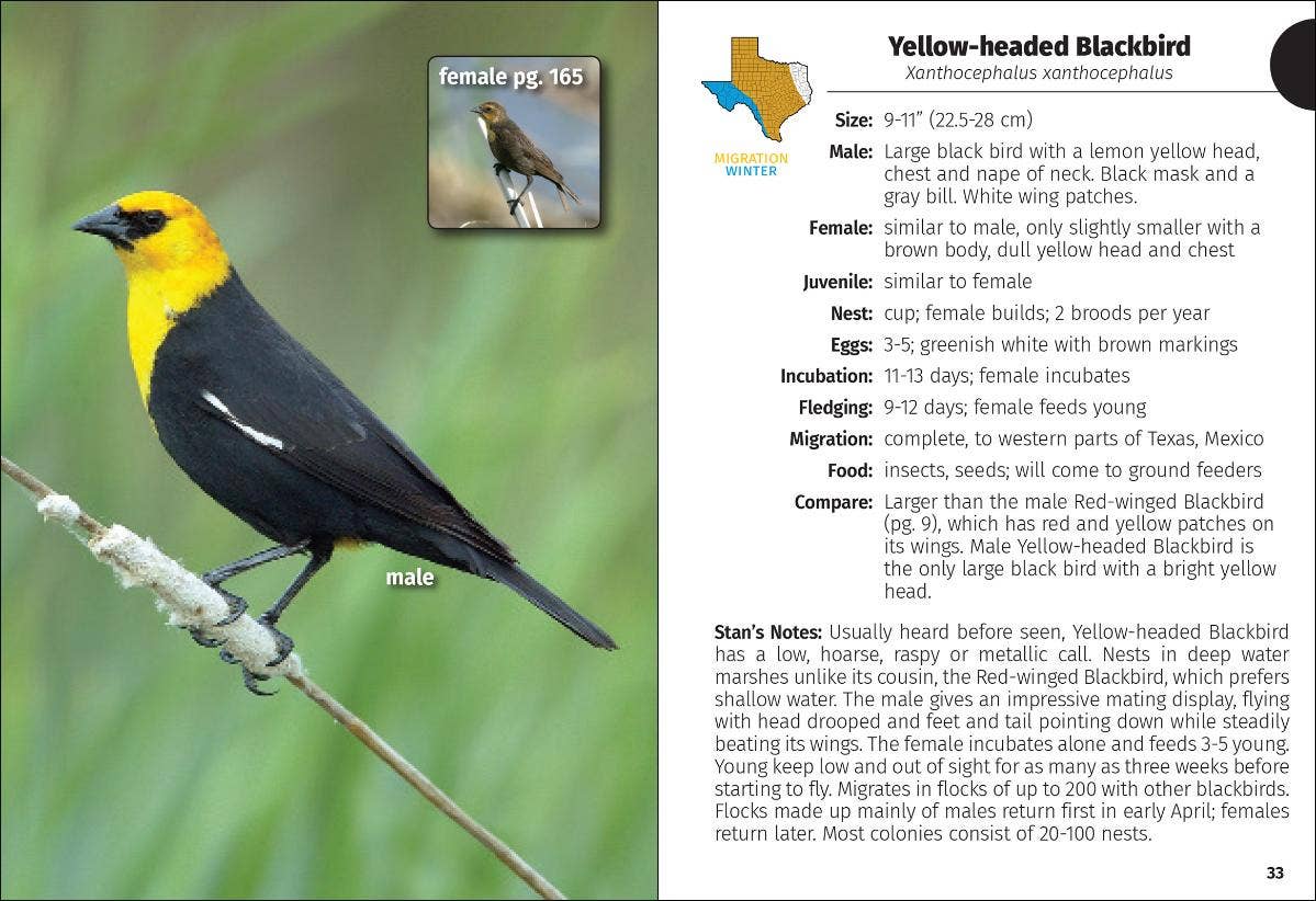 Birds of Texas Field Guide 2e
