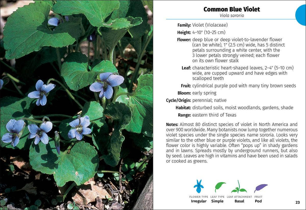 Wildflowers of Texas Field Guide 2e