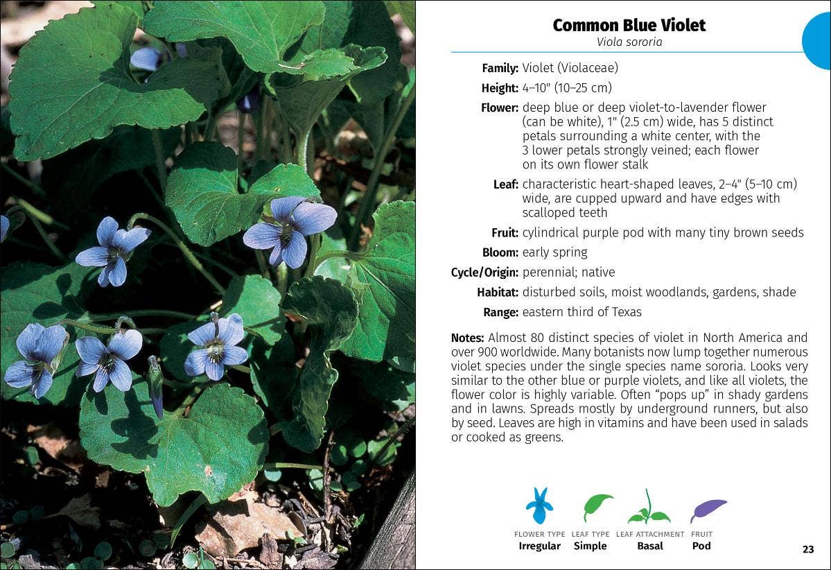 Wildflowers of Texas Field Guide 2e