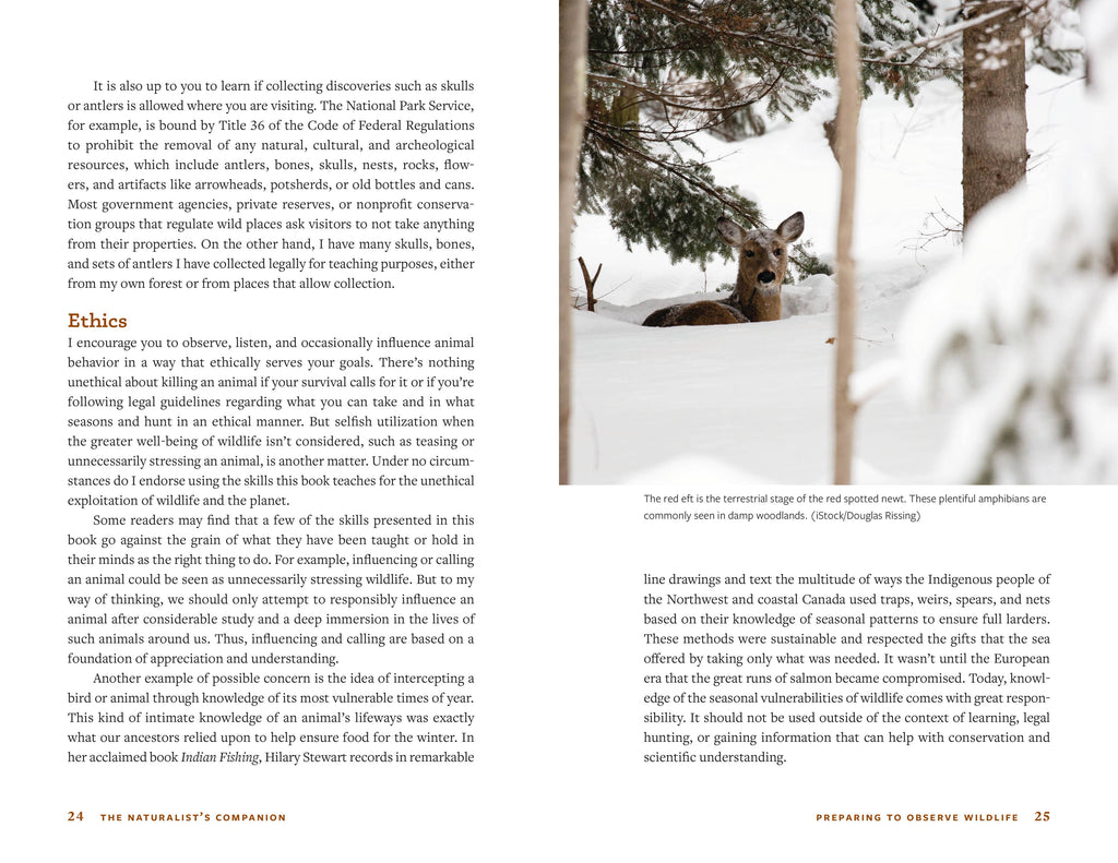 The Naturalist's Companion