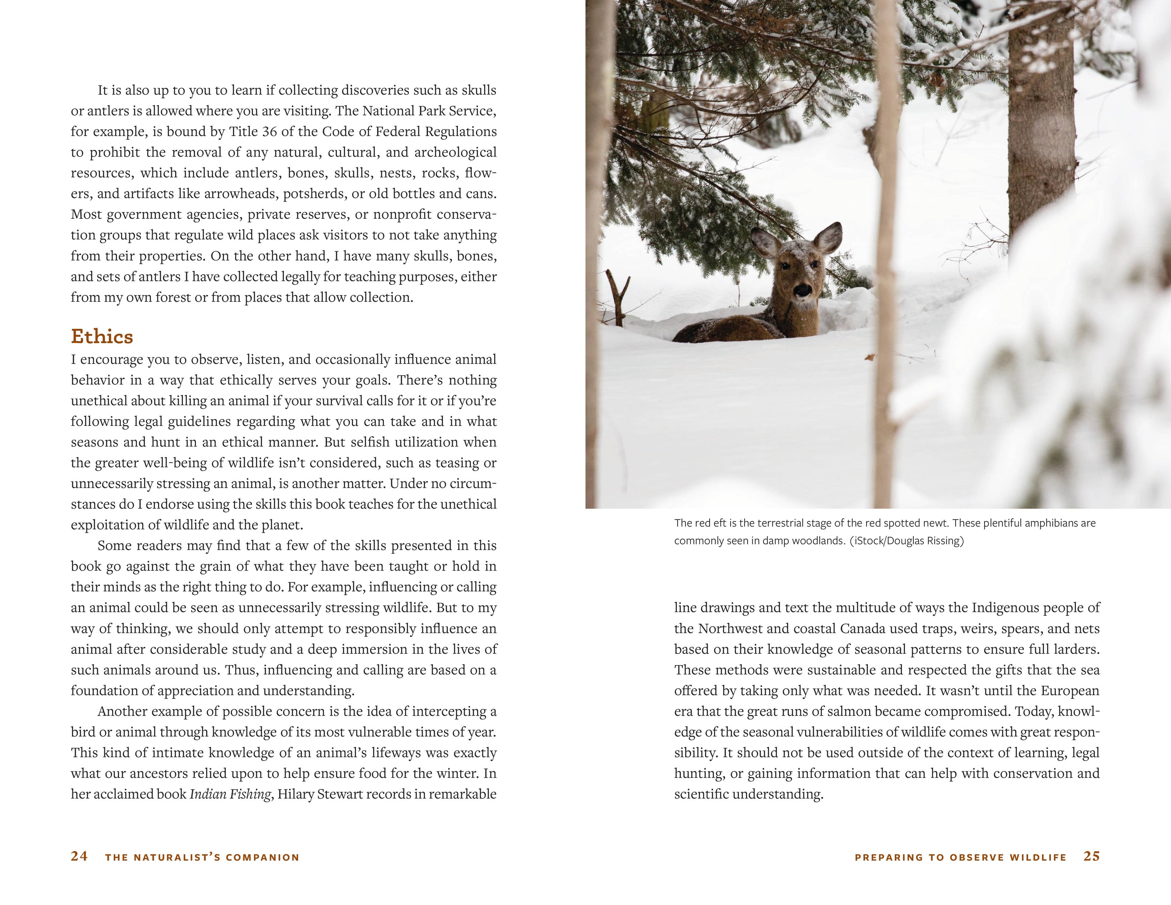 The Naturalist's Companion
