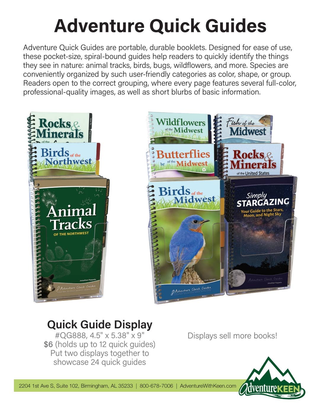 Common Native Bees of Eastern US Quick Guide