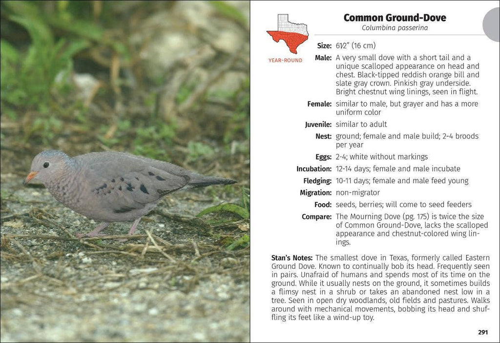 Birds of Texas Field Guide 2e