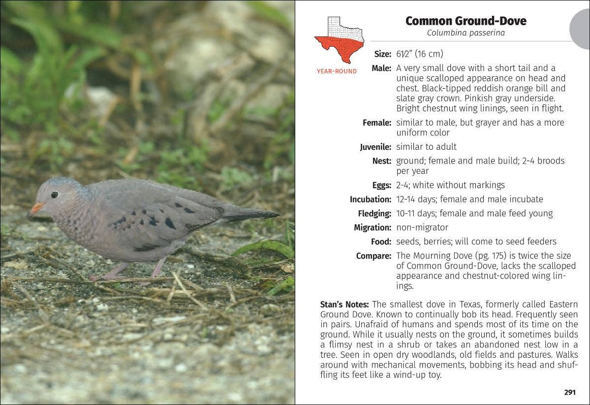 Birds of Texas Field Guide 2e
