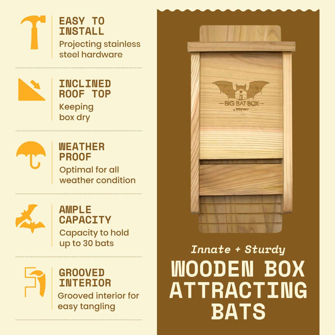 Big Bat Box - Single Chamber Bat House (Cedar)