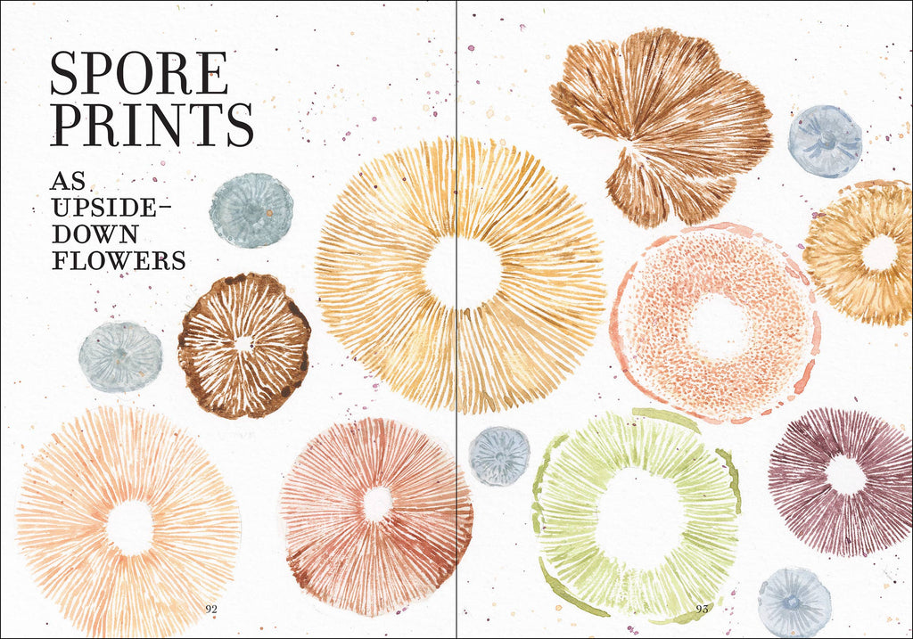 Wonder of Mushrooms