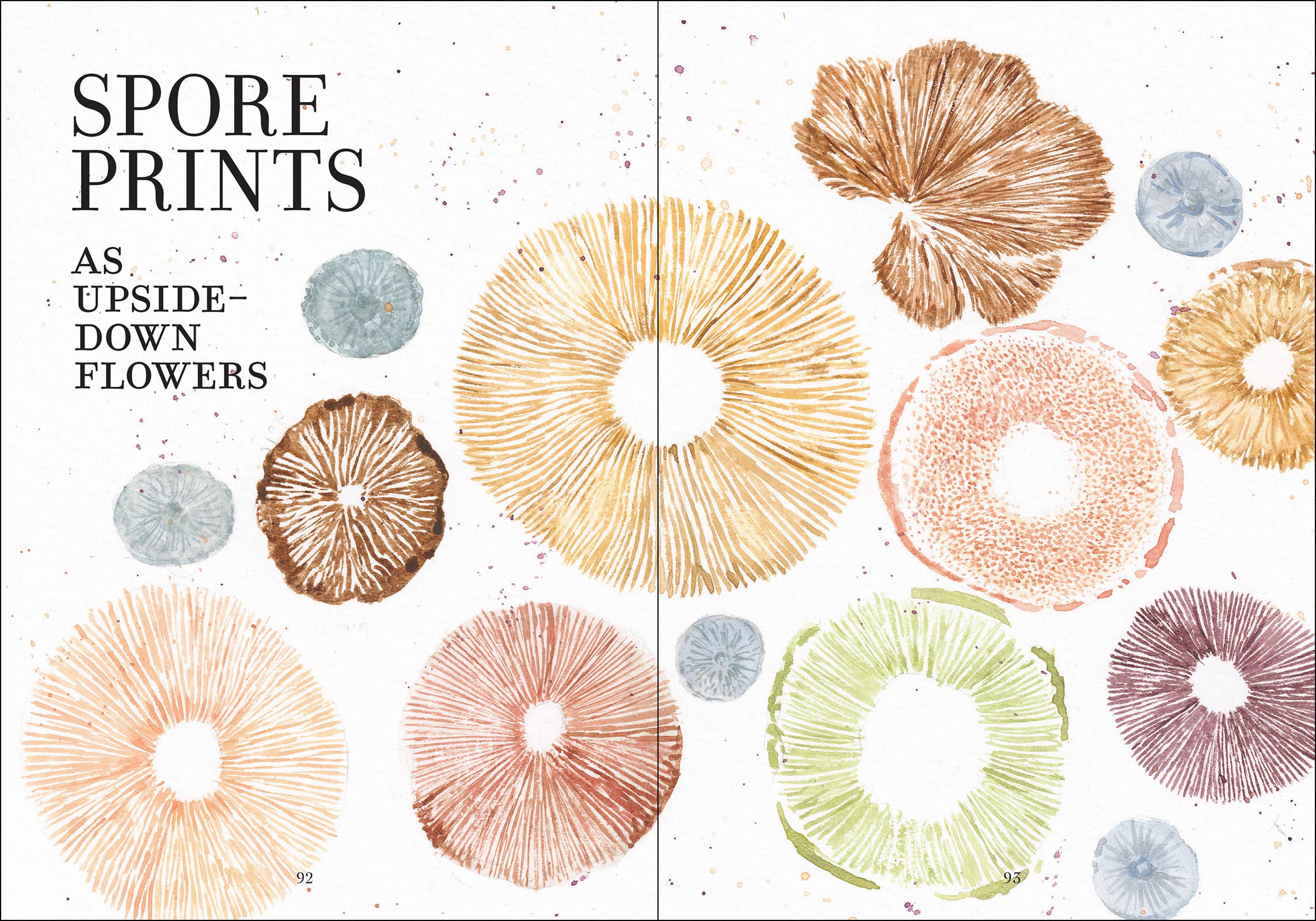 Wonder of Mushrooms