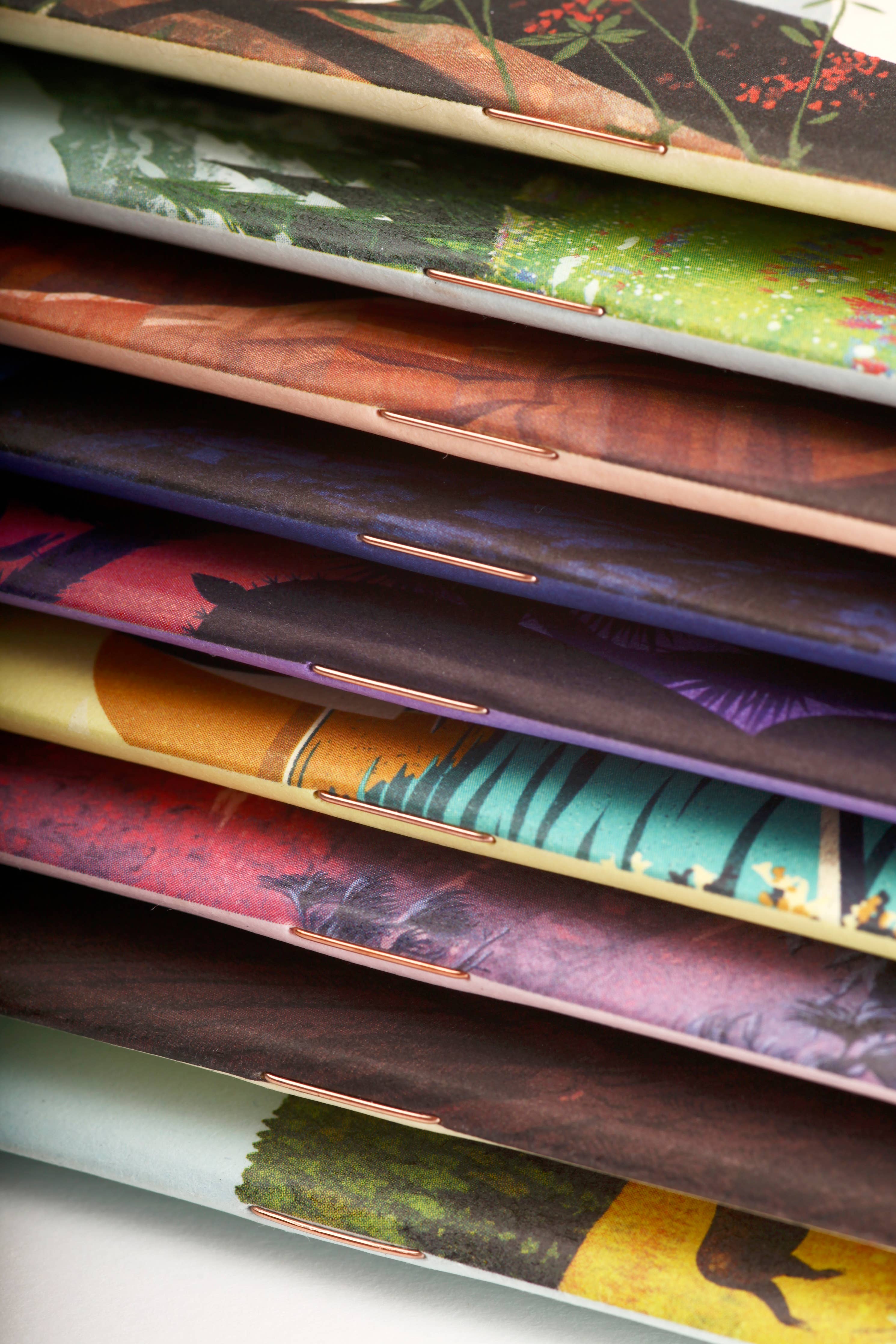 Field Notes - National Parks - Series F