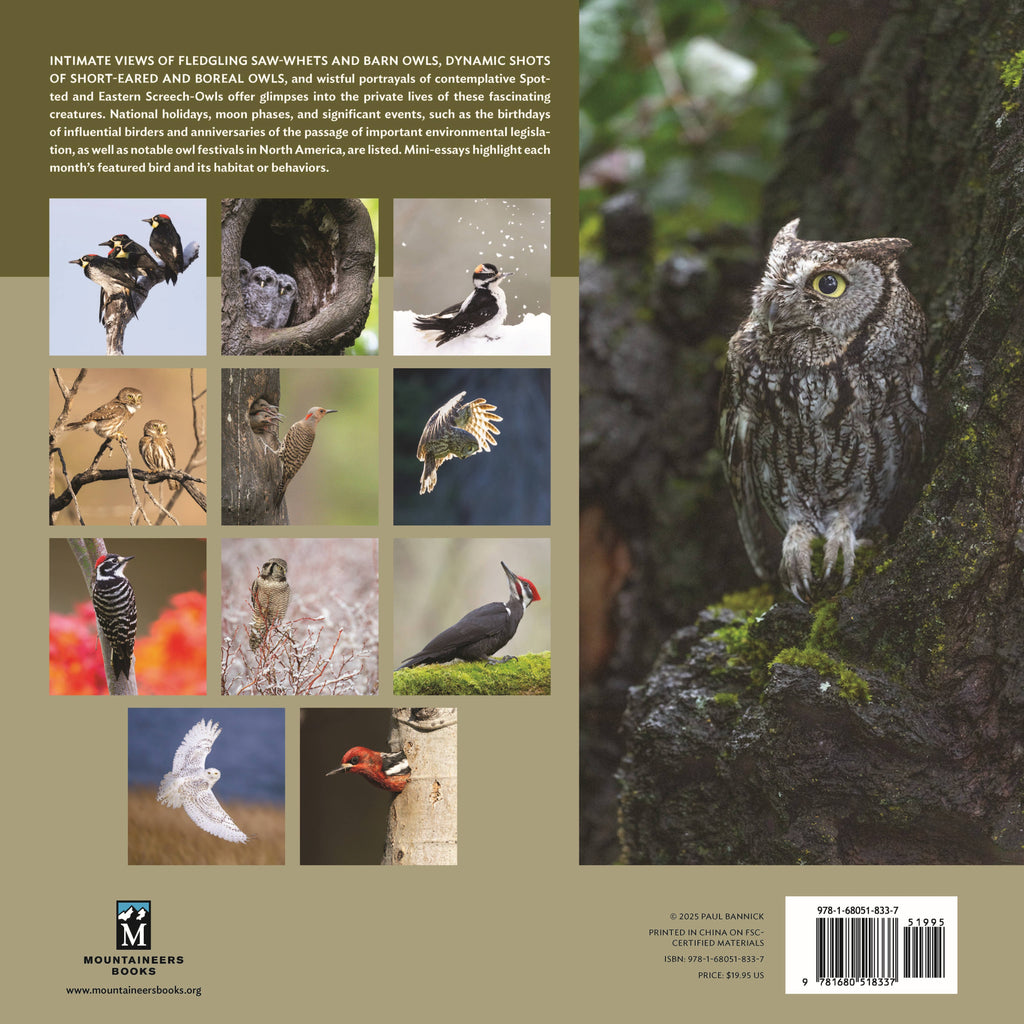 The Owl & the Woodpecker 2026: 12-Month Wall Calendar