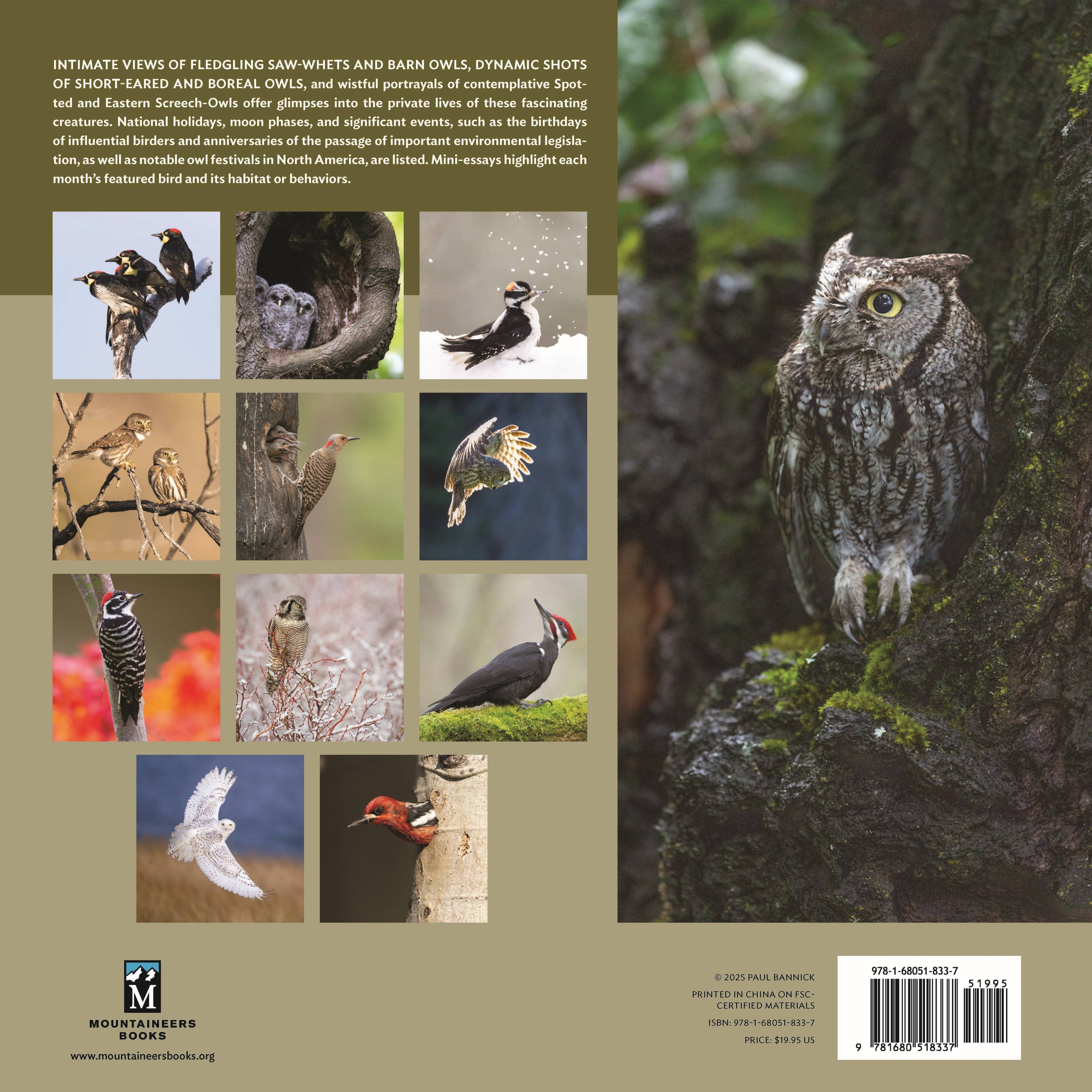 The Owl & the Woodpecker 2026: 12-Month Wall Calendar