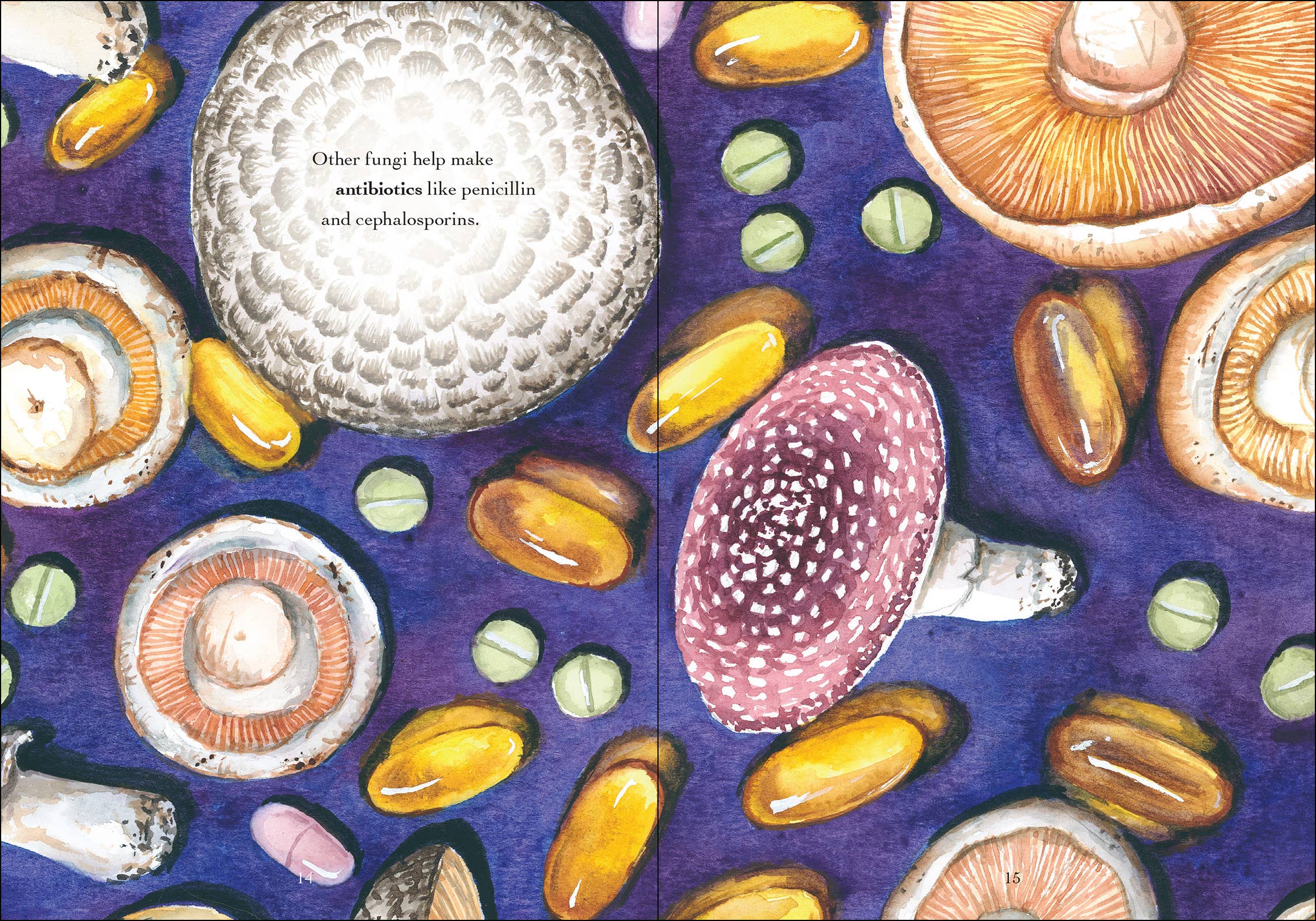 Wonder of Mushrooms