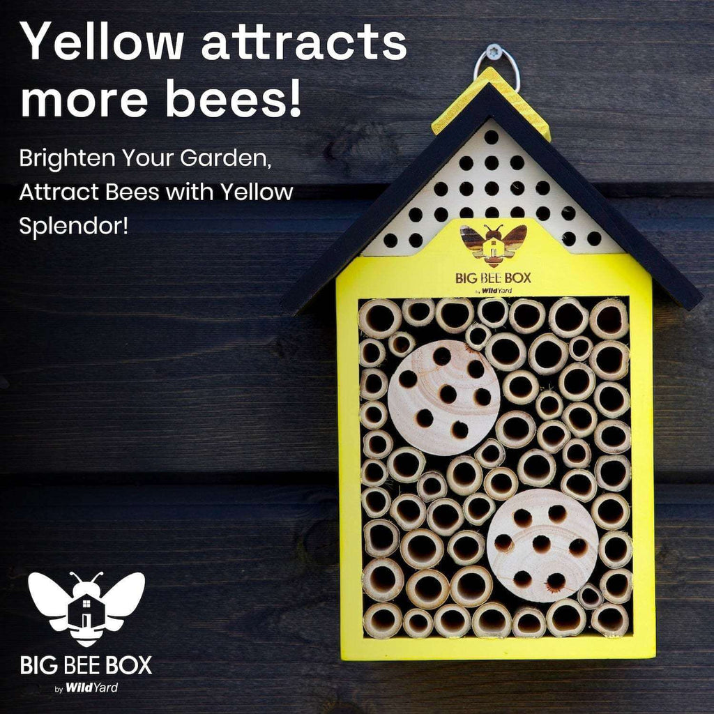 Bee House – Big Bee Box