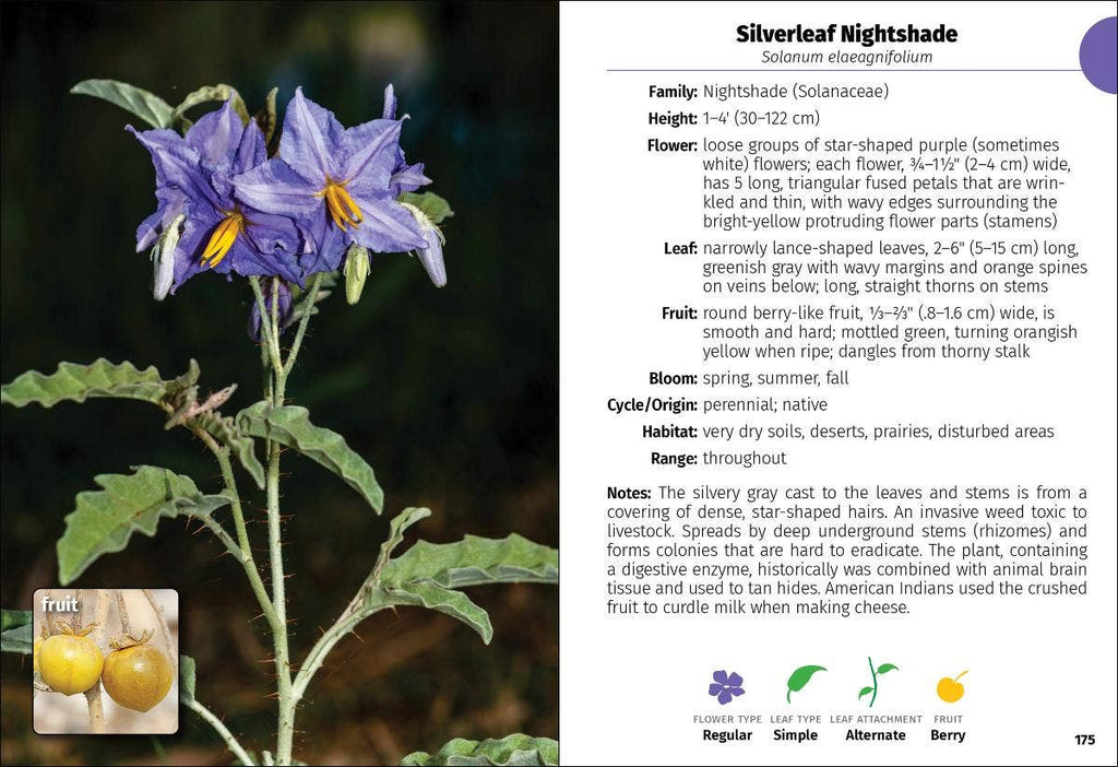 Wildflowers of Texas Field Guide 2e