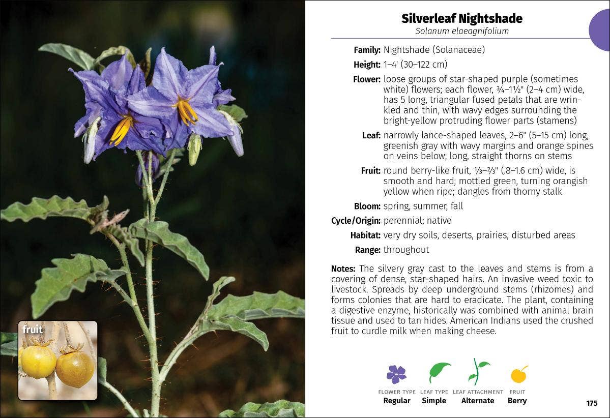 Wildflowers of Texas Field Guide 2e