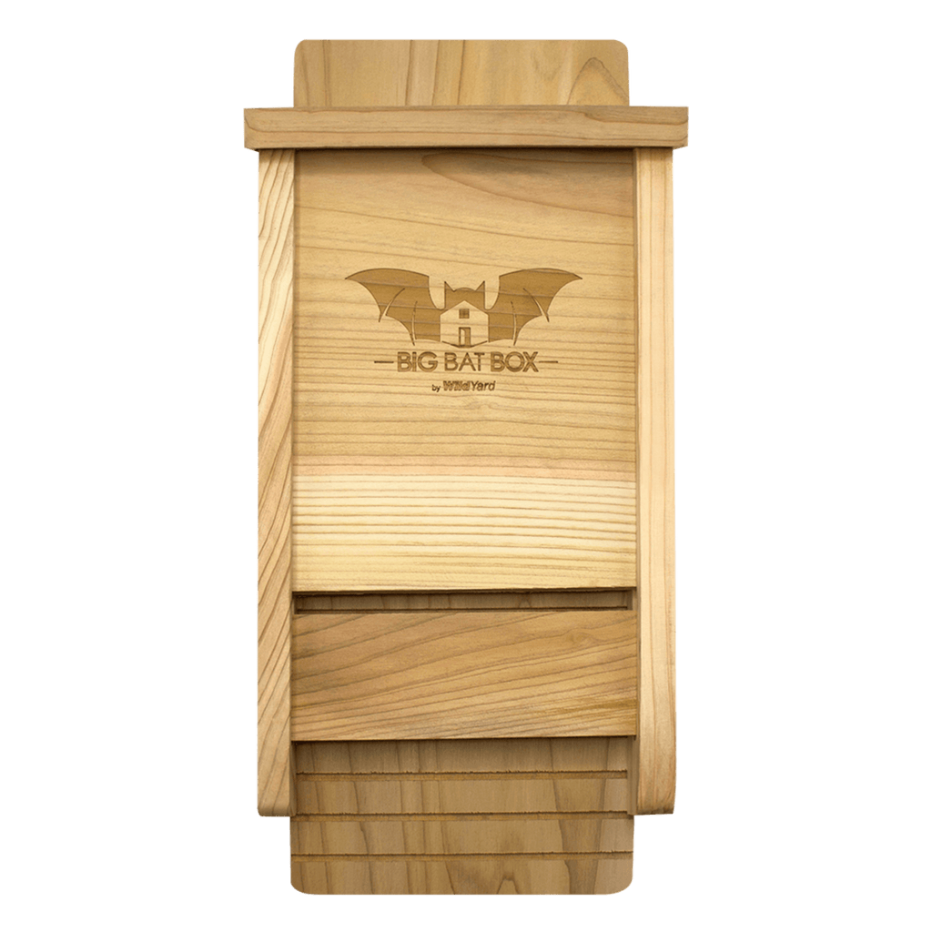 Big Bat Box - Single Chamber Bat House (Cedar)