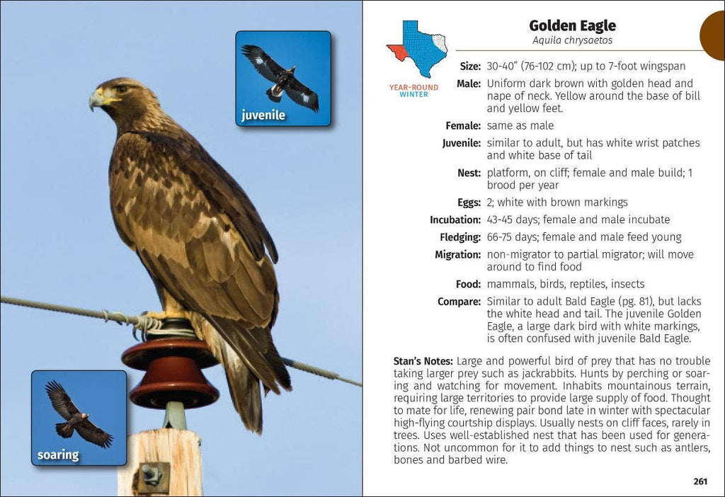 Birds of Texas Field Guide 2e